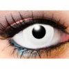 Lentilles Gothiques 90 Jours INNOVISION 'all White' -DISCOBOLE Soldes 57516c4a061bb2274668531 641