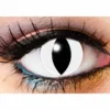 Lentilles Gothiques 1 JOUR Viper -DISCOBOLE Soldes 57517a542ce58991186751 641