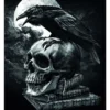 Carte Postale 3D ALCHEMY GOTHIC 'Poe's Raven' -DISCOBOLE Soldes 957766 2743246 900