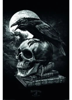 Carte Postale 3D ALCHEMY GOTHIC 'Poe's Raven'