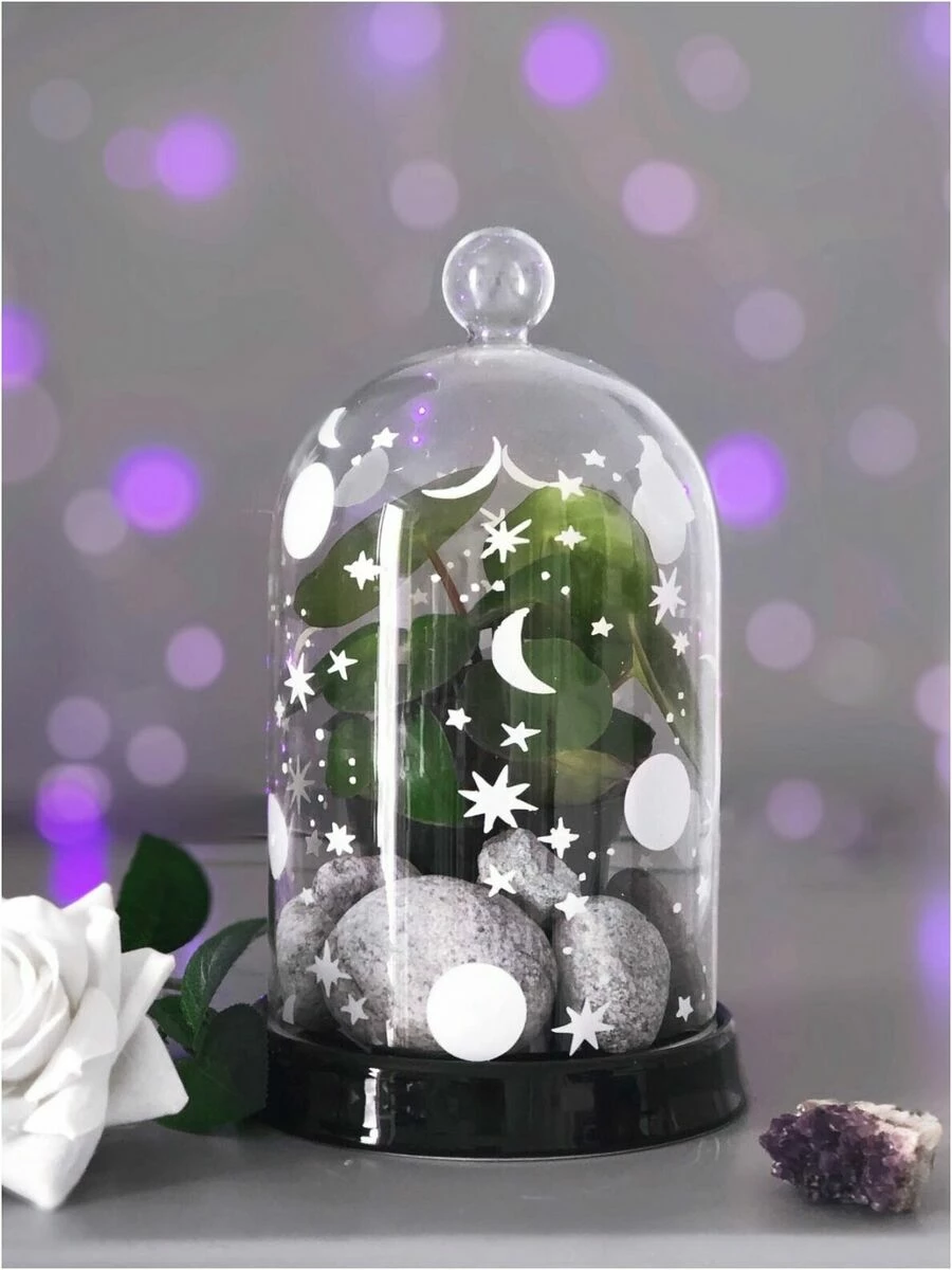 Cloche En Verre KILLSTAR 'empyrean' 3 Cloche En Verre KILLSTAR 'empyrean'