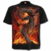 T-shirt Homme SPIRAL 'draconis' -DISCOBOLE Soldes image zoom213 900