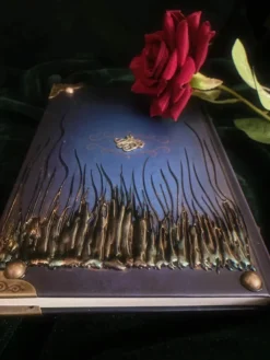 Journal Intime Gothique 'Sirène' -DISCOBOLE Soldes img 680120230228 101056 900