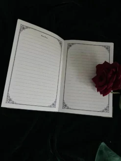 Journal Intime Gothique 'Sirène' -DISCOBOLE Soldes img 680220230228 101058 900