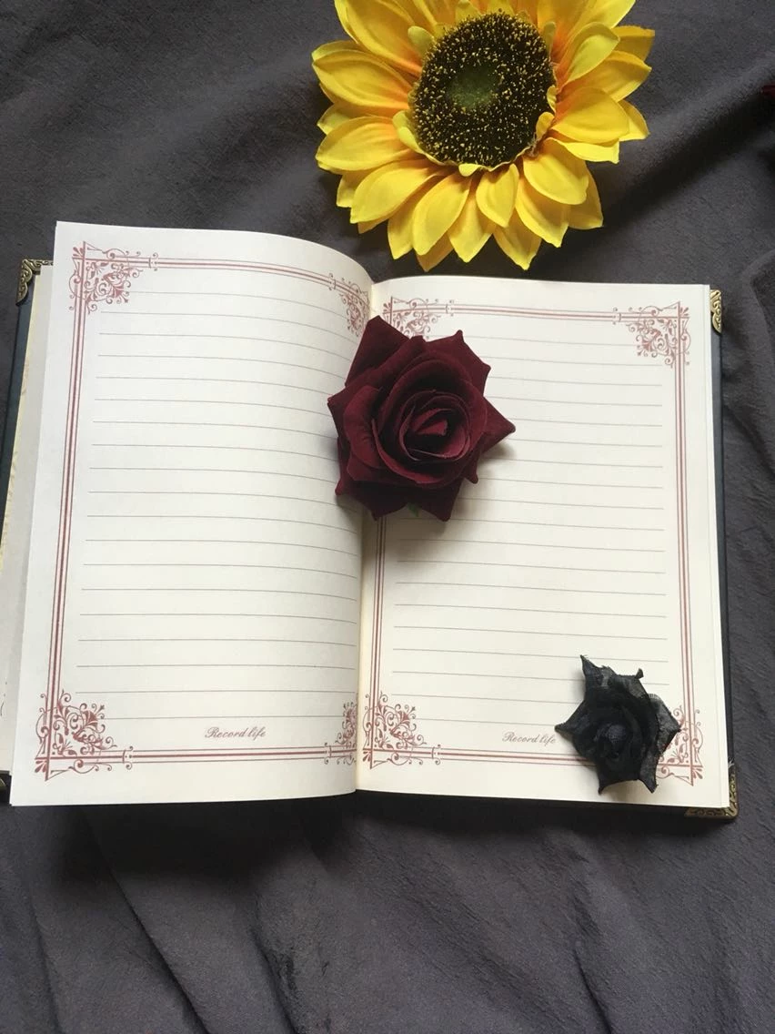 Journal Intime Gothique 'Mithe' 7 Journal Intime Gothique 'Mithe' – Image 5